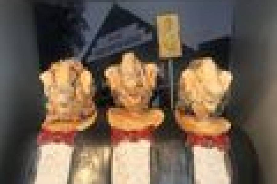 Vriendenkring opende bijzondere Steyler Dag.